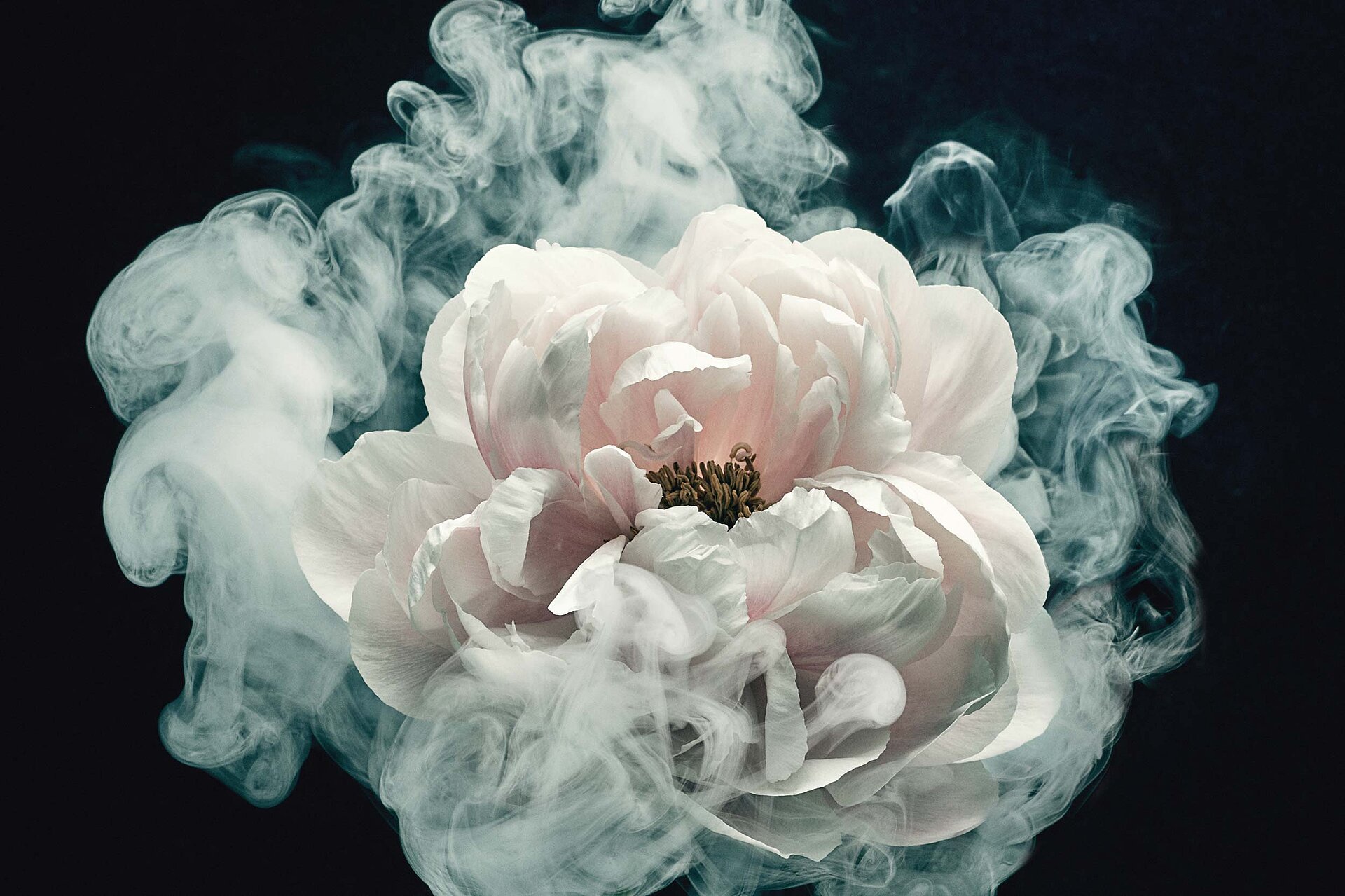 Melanie JeanRichard Flower smoke branding bern