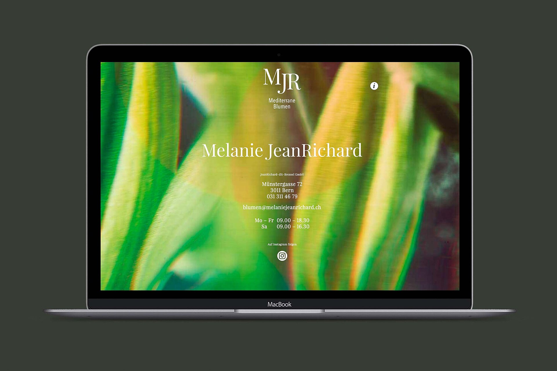 Melanie JeanRichard website macbook mockup branding bern