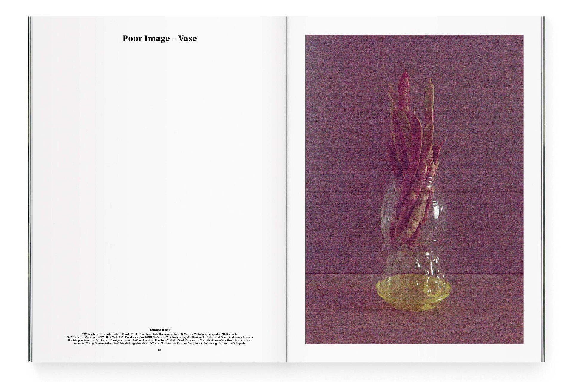 mjr magazine pages with vase and root design bern