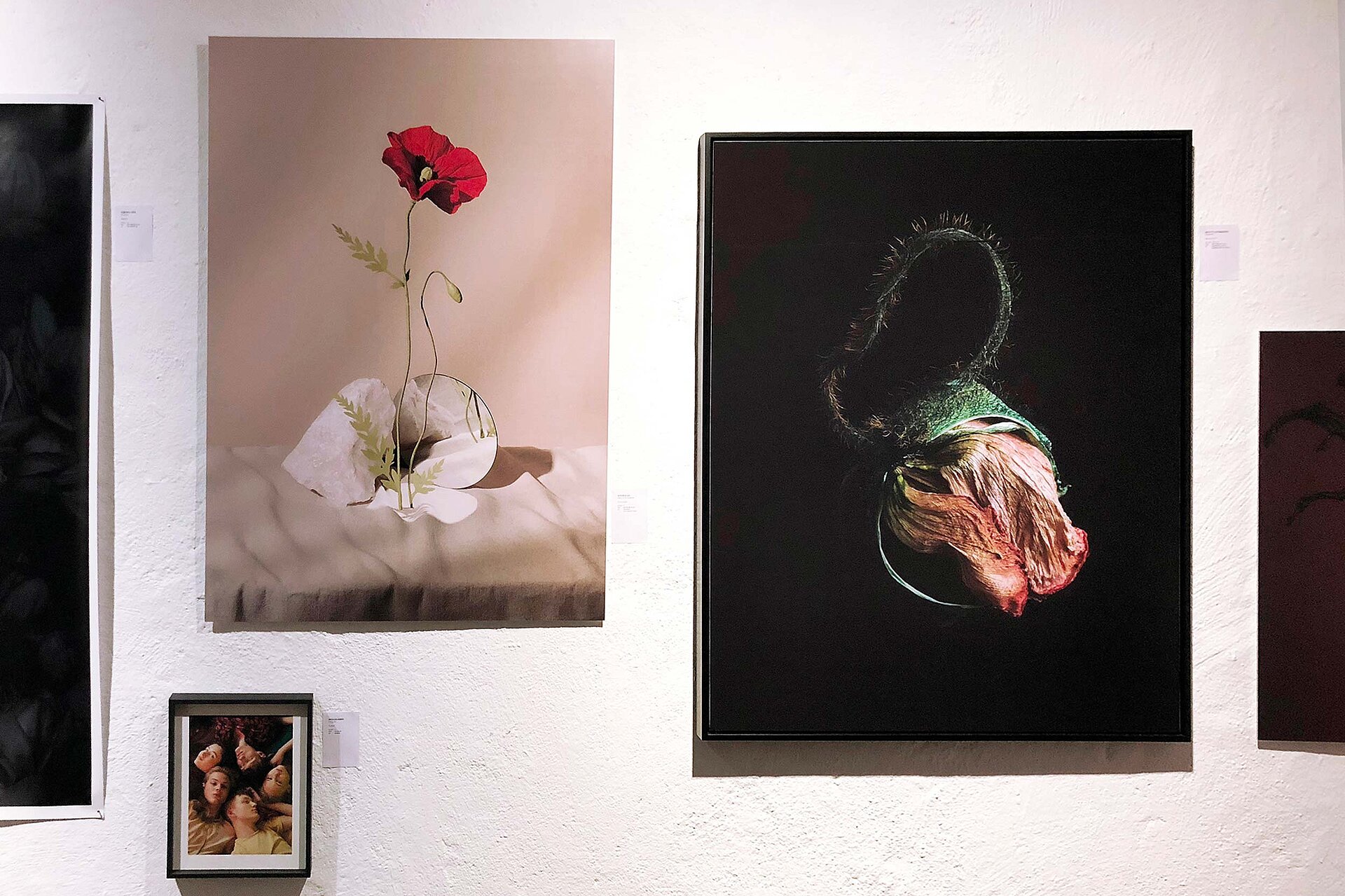 Melanie JeanRichard exhibition photo flowers branding bern