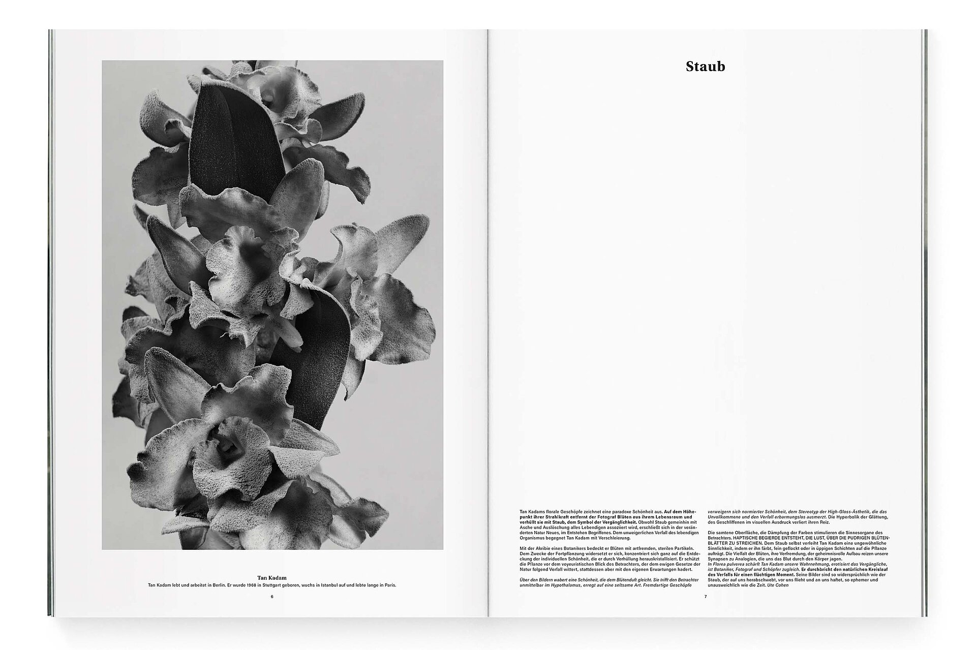 mjr magazine pages with black and white flowers text design bern