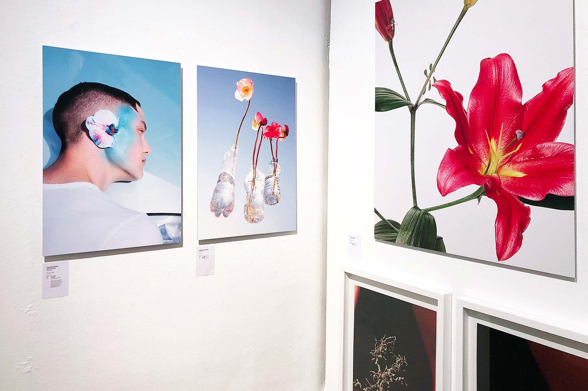 Melanie JeanRichard exhibition flower photos branding bern