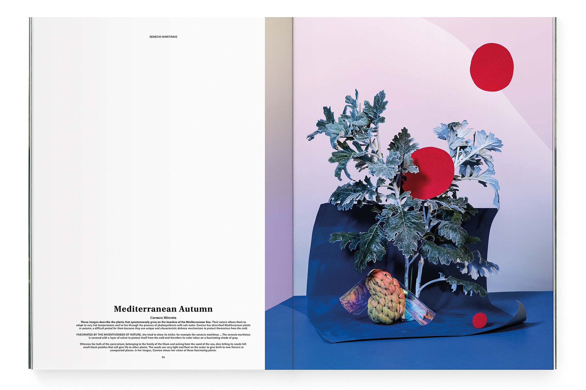 mjr magazine pages with installation with plants design bern
