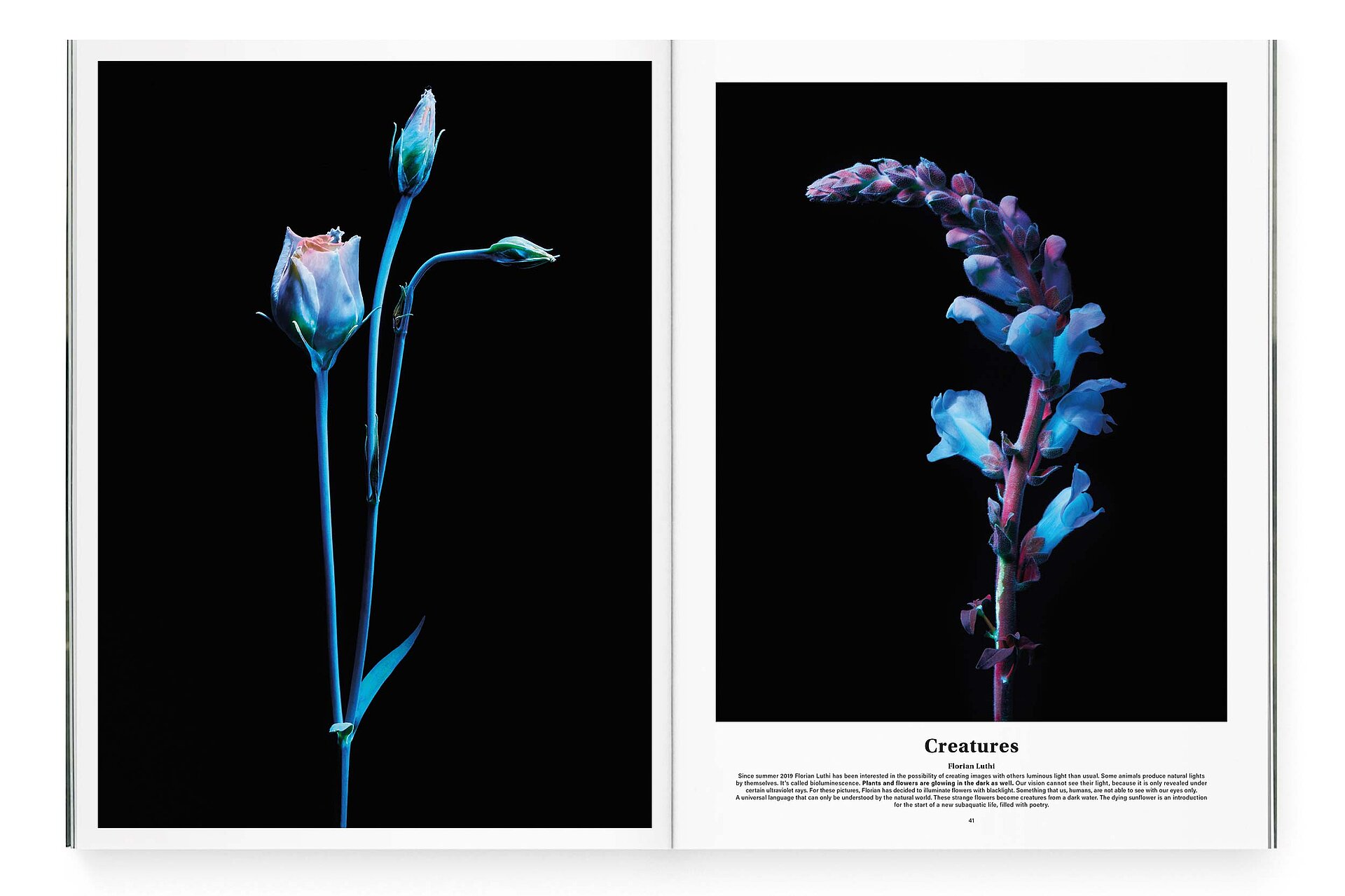 mjr magazine pages with flowers on black bg design bern