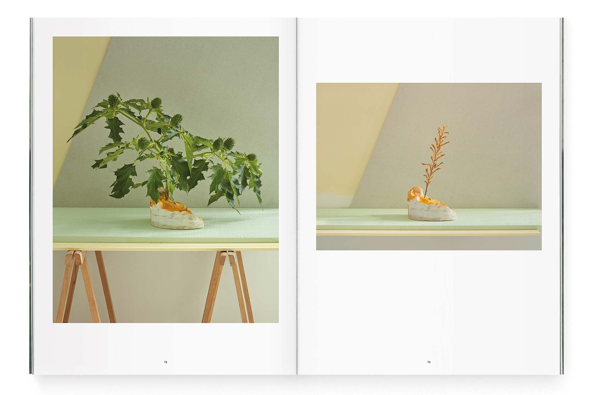 mjr magazine pages with table and plant design bern