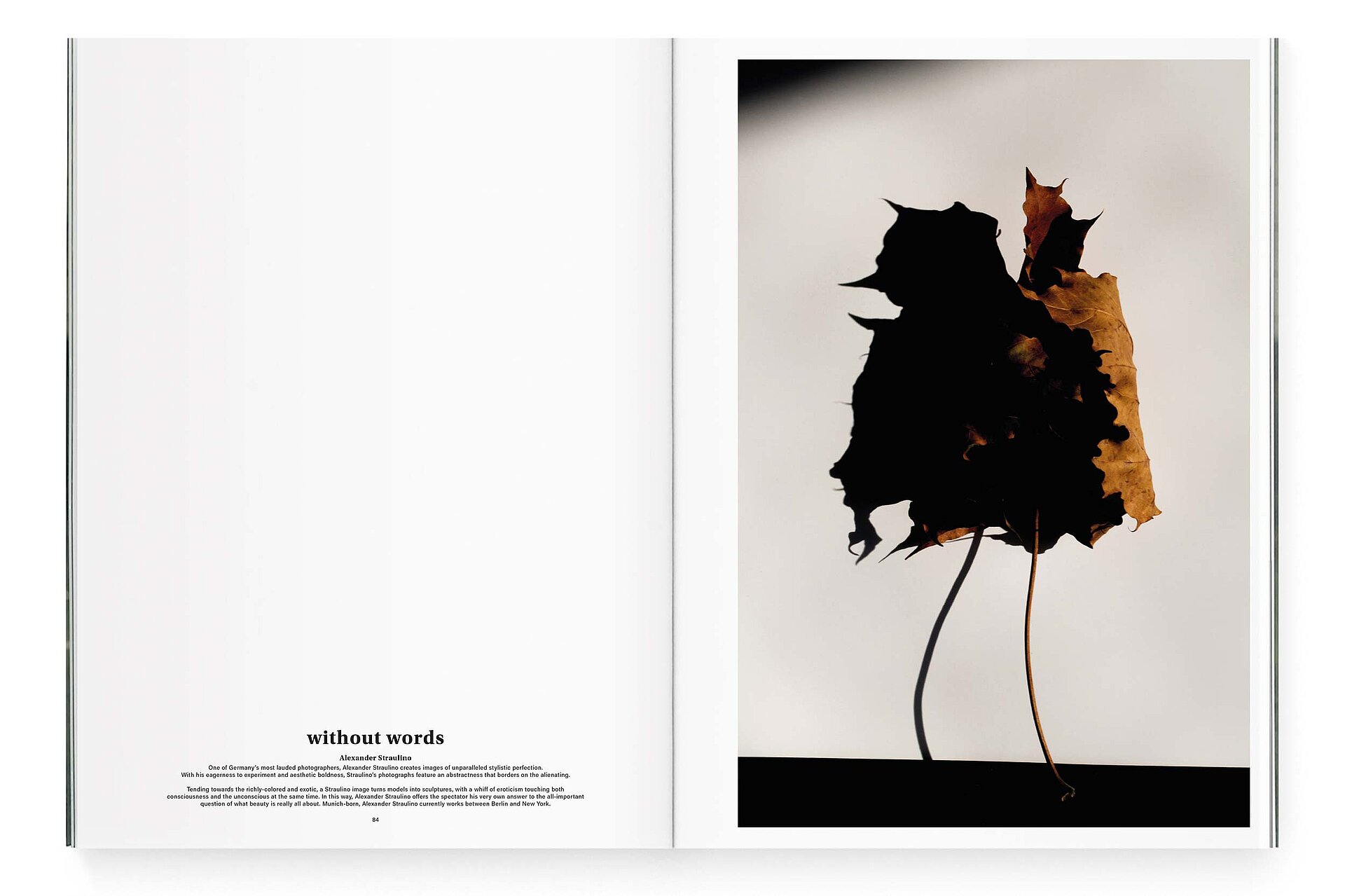 mjr magazine pages with leaf and shadow design bern