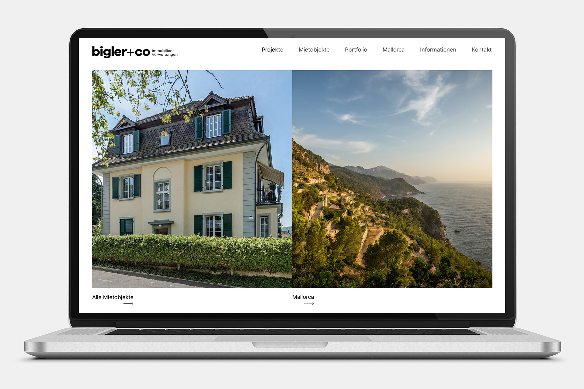 Bigler Website Mockup MacBook