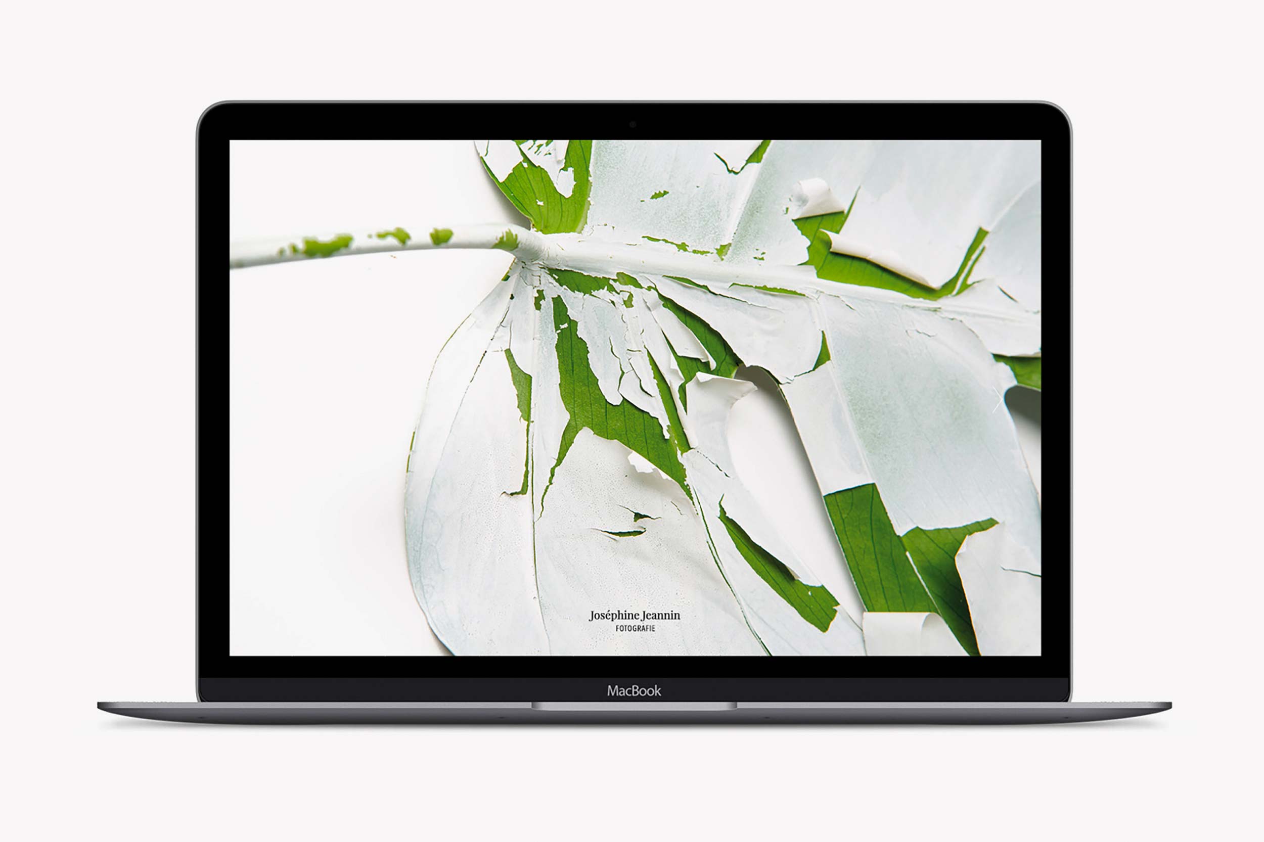 Melanie JeanRichard mockup website notebook flowers white color branding bern
